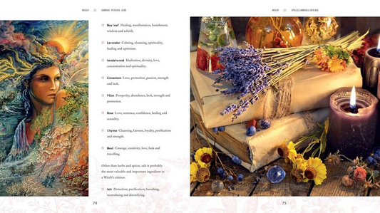 Wicca: Charms • Potions • Lore by Nixie Vale