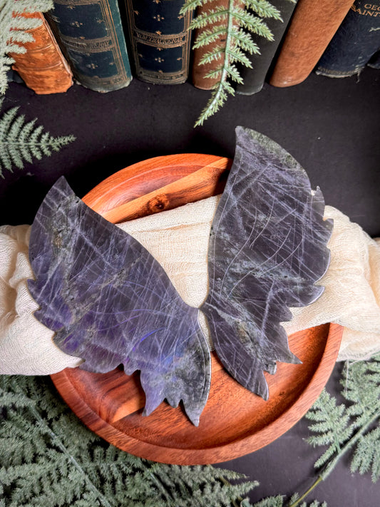 Purple & Blue Flash Labradorite Butterfly Wings on Gold Stand