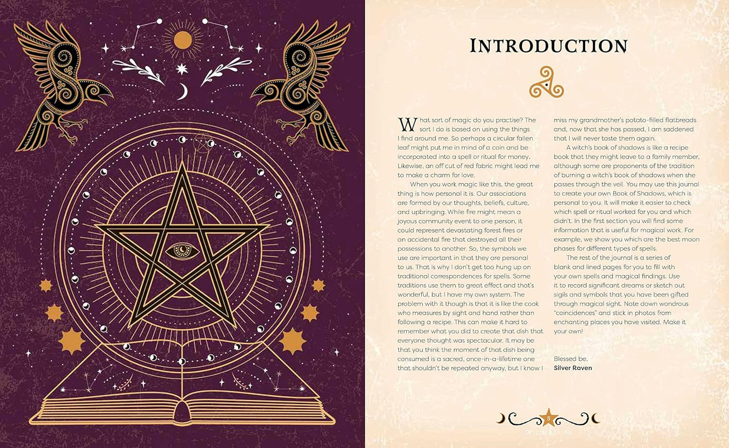 Book of Shadows: A Journal to Make Magical Discoveries (Sirius Spirit Journals)