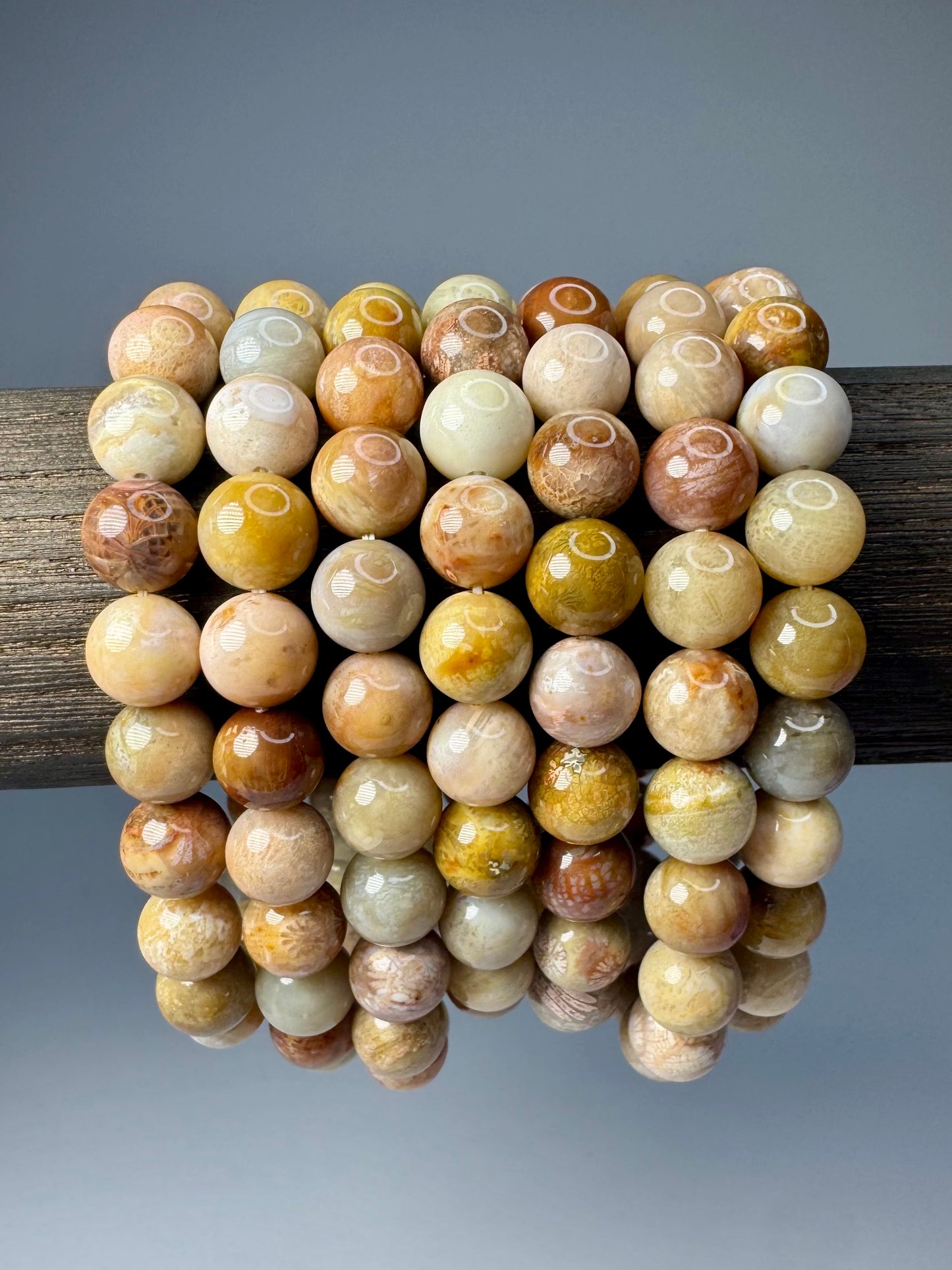 Fossilized Coral Bracelet