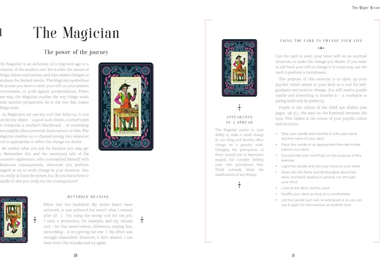 The Tarot Life Planner: A Beginner's Guide to Reading the Tarot by Lady Lorelei