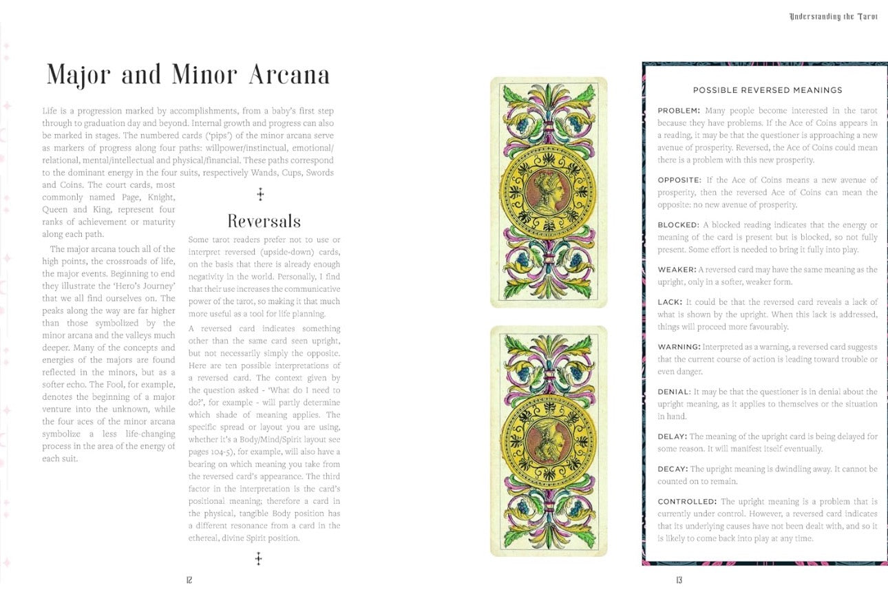 The Tarot Life Planner: A Beginner's Guide to Reading the Tarot by Lady Lorelei