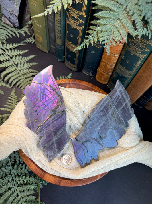 Purple & Pink Flash Labradorite Butterfly Wings on Gold Stand