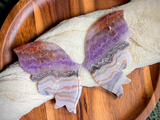 Amethyst Mexican Crazy Lace With Fire Quartz Tips Butterfly Wings on Gold Stand