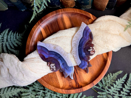 Black Flower Agate With Quartz & Carnelian Butterfly Wings on Black Stand