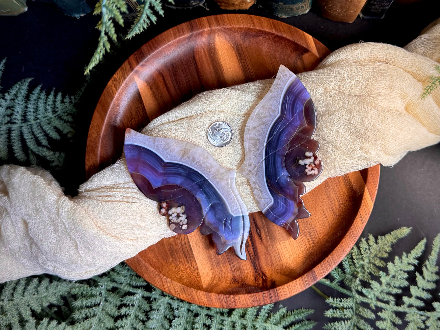 Black Flower Agate With Quartz & Carnelian Butterfly Wings on Black Stand