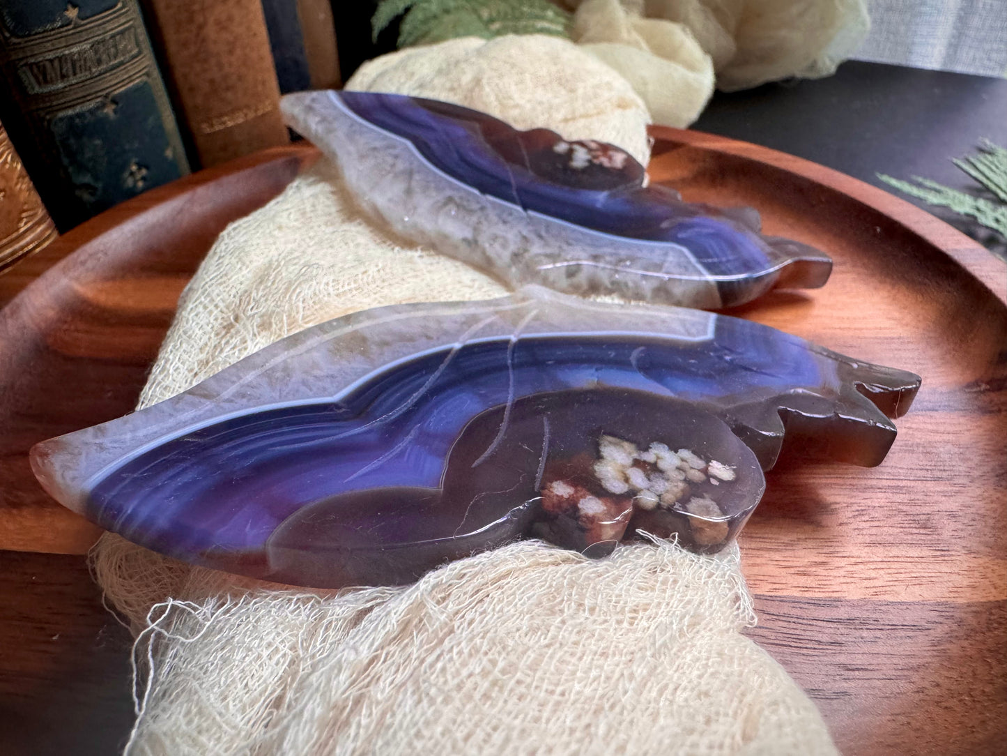 Black Flower Agate With Quartz & Carnelian Butterfly Wings on Black Stand