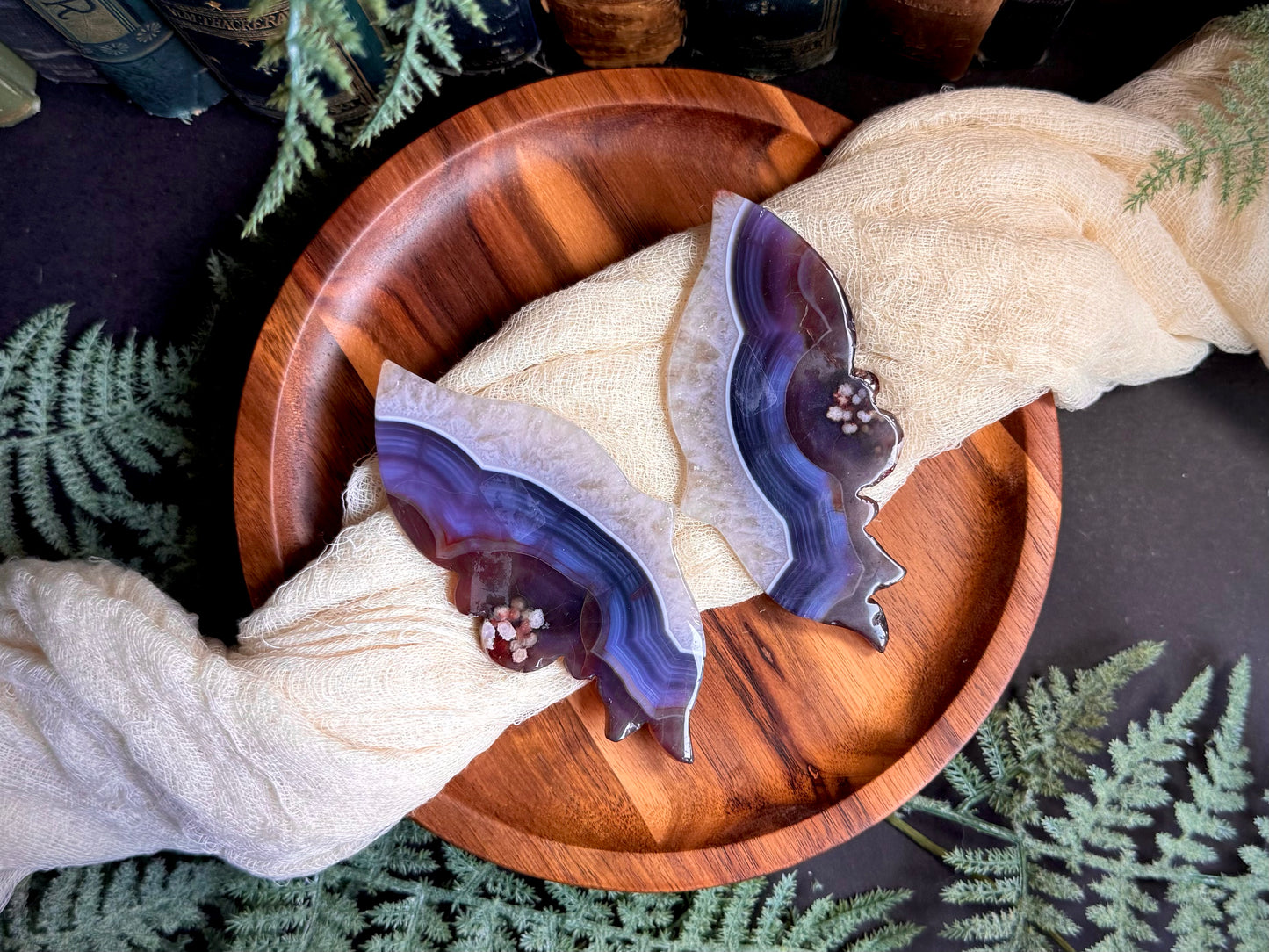 Black Flower Agate With Quartz & Carnelian Butterfly Wings on Black Stand