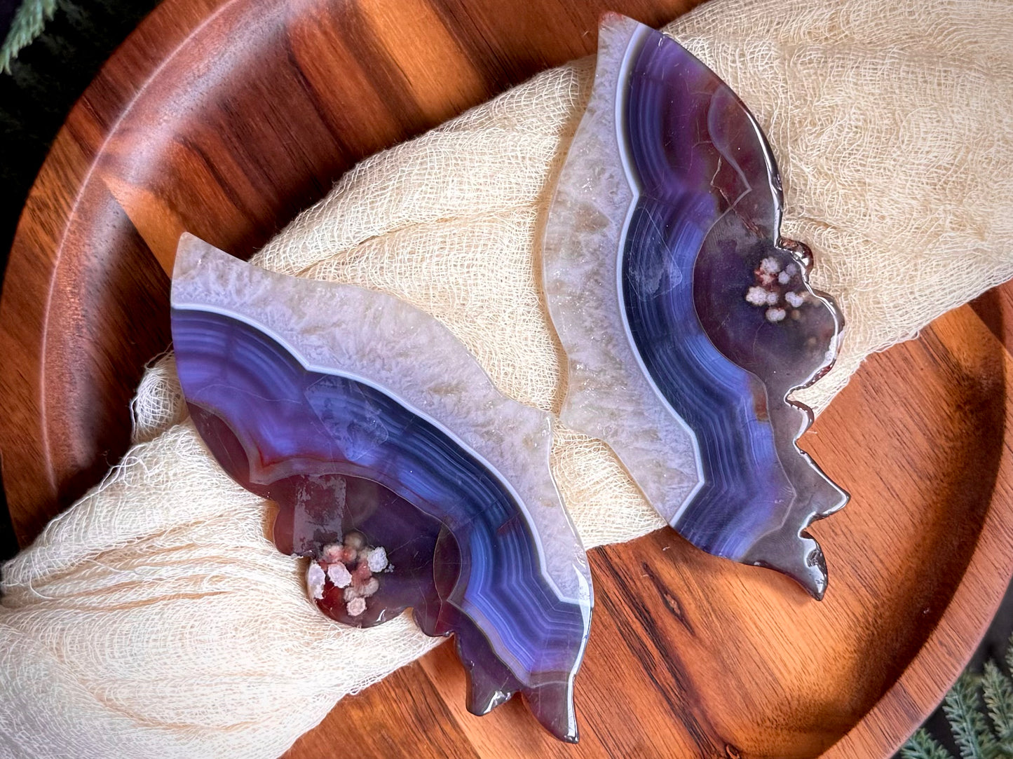 Black Flower Agate With Quartz & Carnelian Butterfly Wings on Black Stand