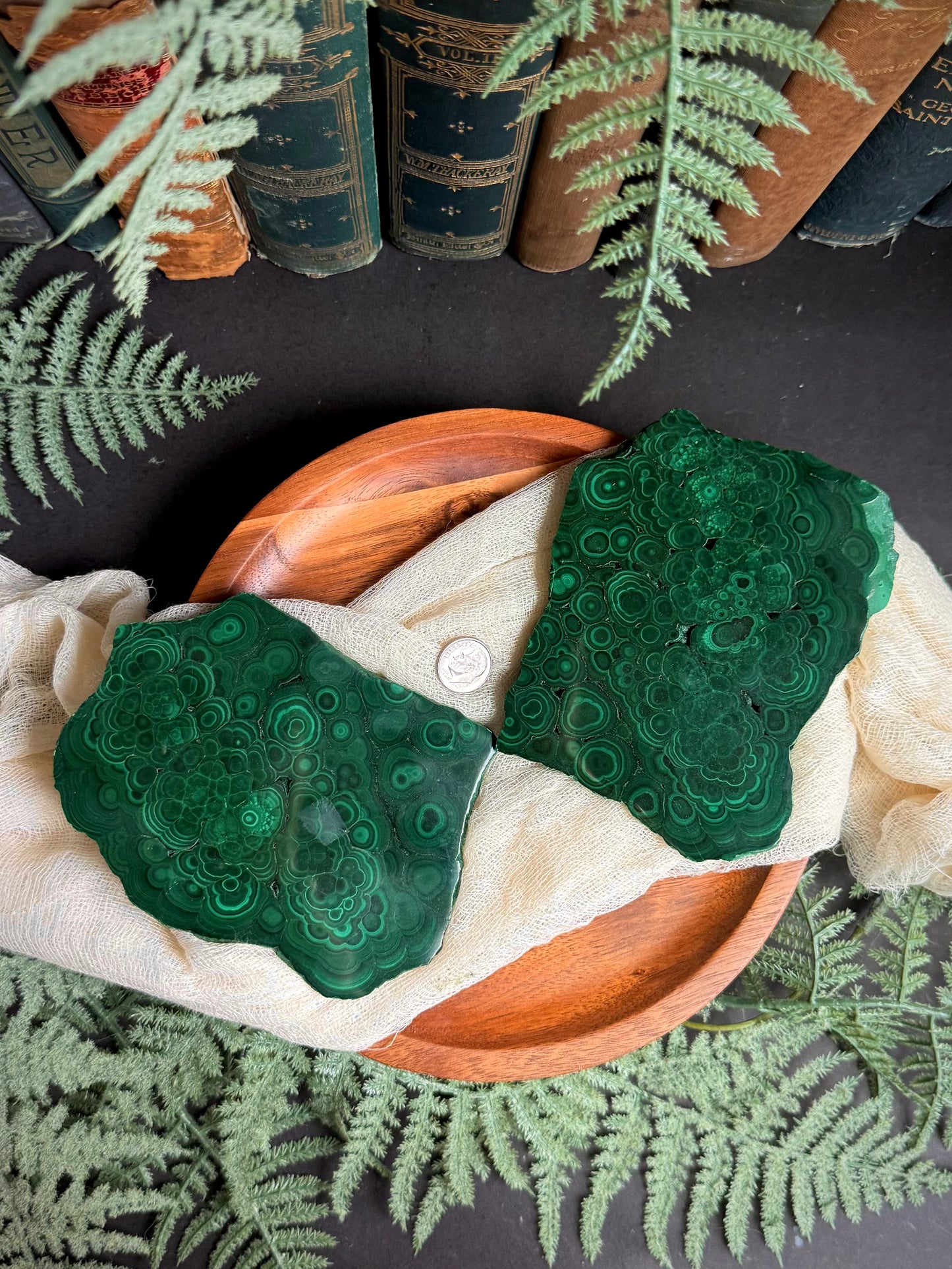 Malachite Butterfly Wings on Gold Stand