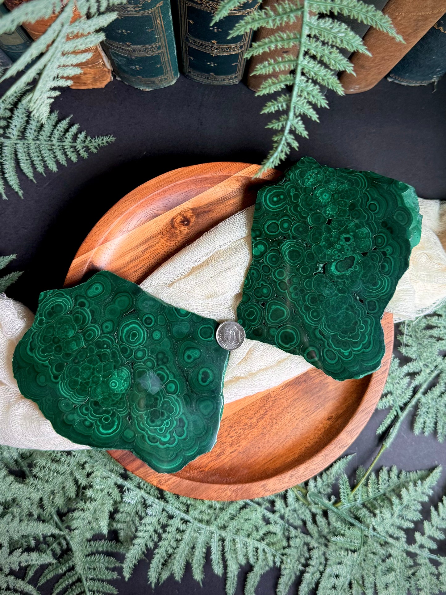 Malachite Butterfly Wings on Gold Stand