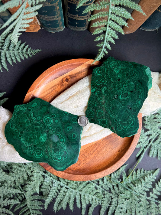 Malachite Butterfly Wings on Gold Stand