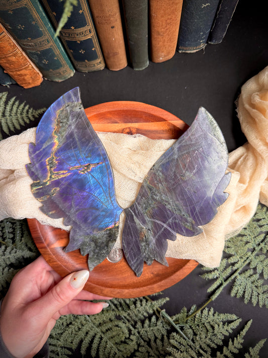 Purple & Blue Flash Labradorite Butterfly Wings on Gold Stand