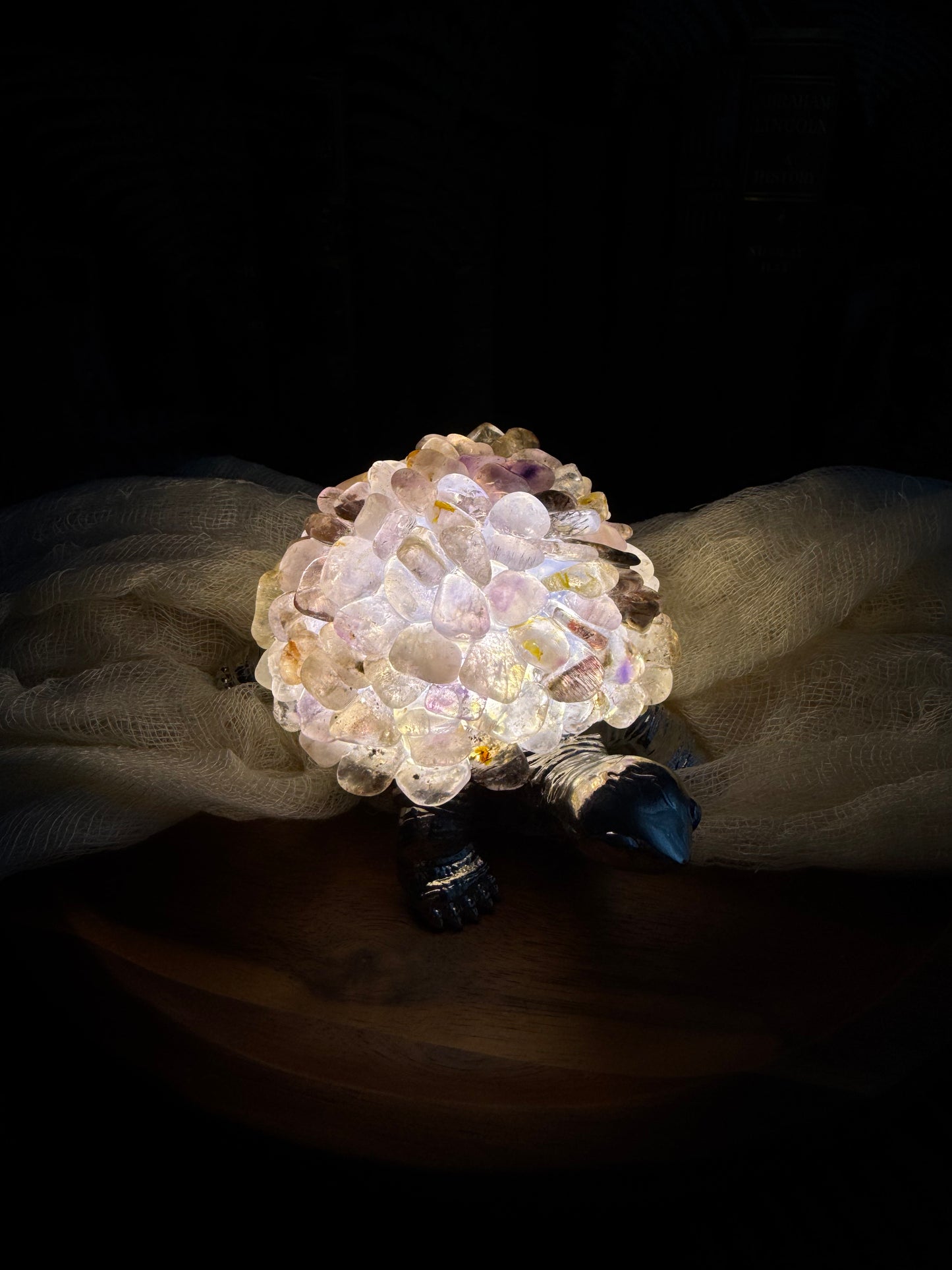 Super 7 Chip Turtle Lamp