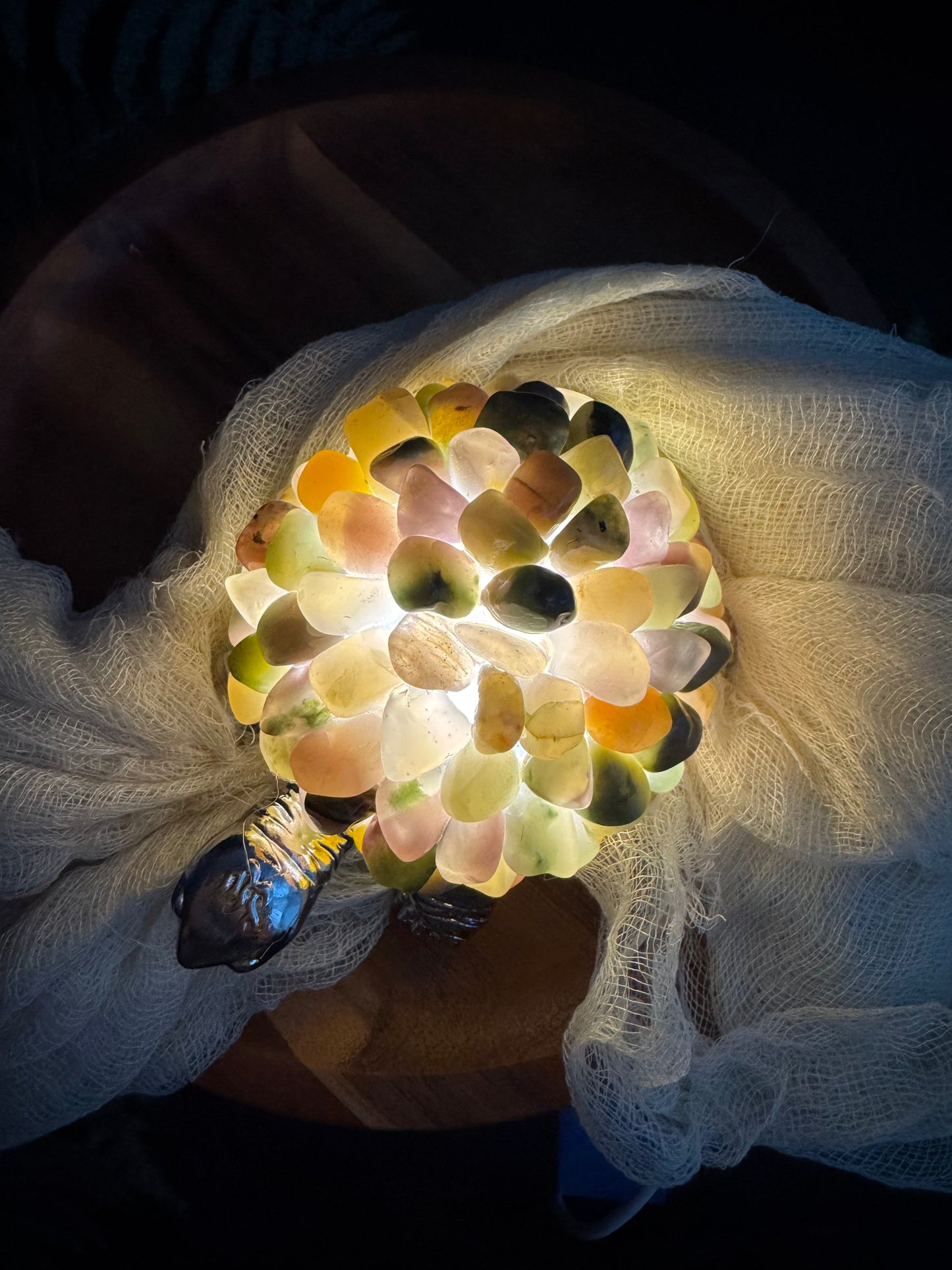 Mixed Material Chip Turtle Lamp