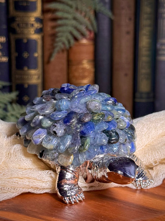 Blue Kyanite Chip Turtle Lamp