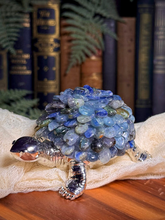 Blue Kyanite Chip Turtle Lamp
