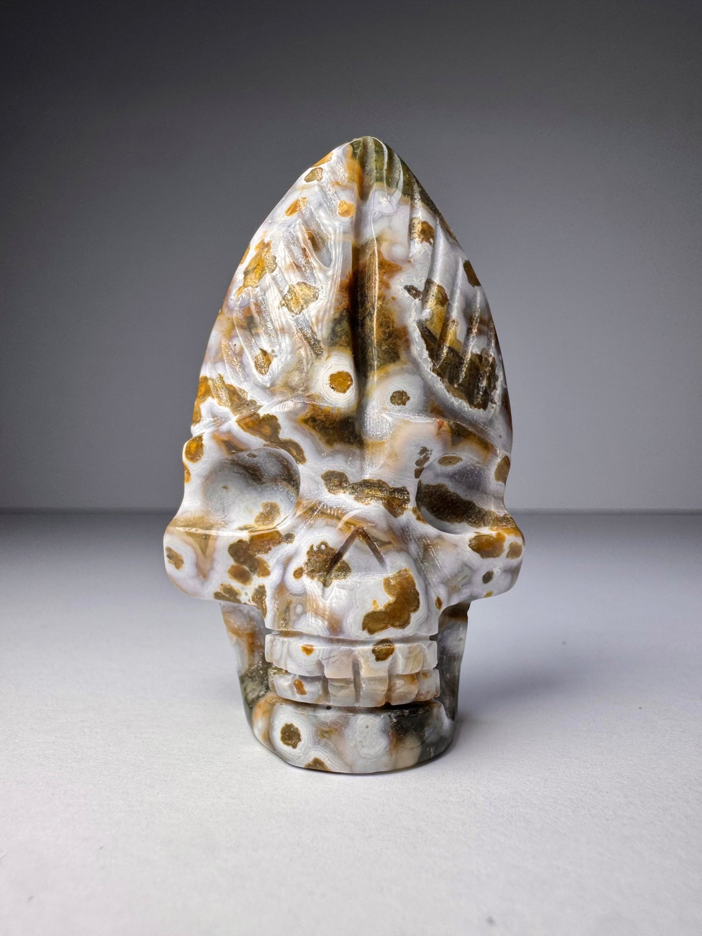Orbicular Jasper Nature Skull - C