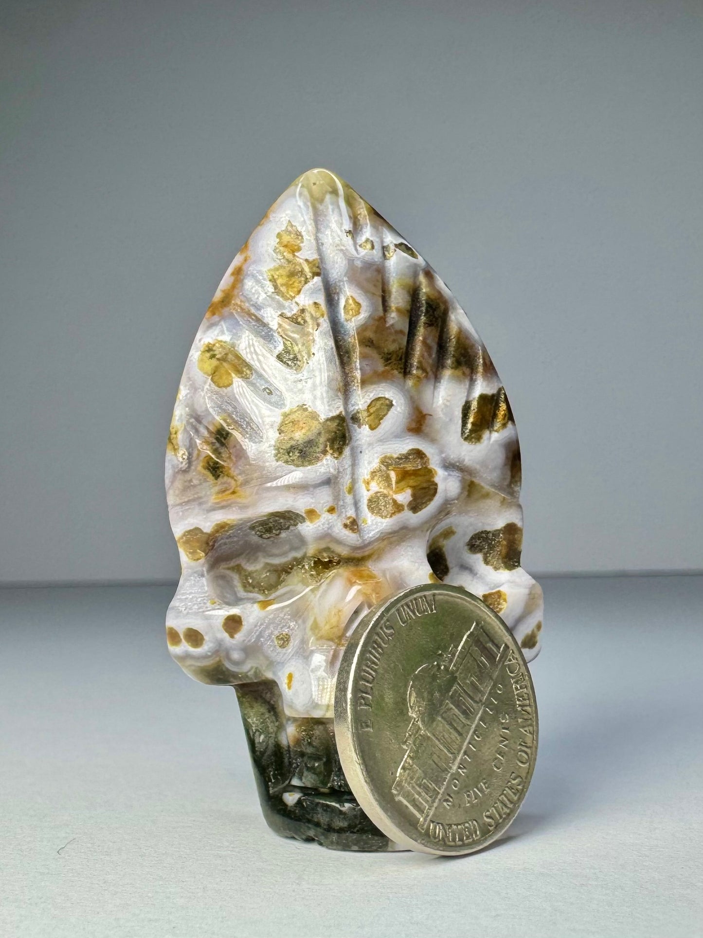 Orbicular Jasper Nature Skull - D