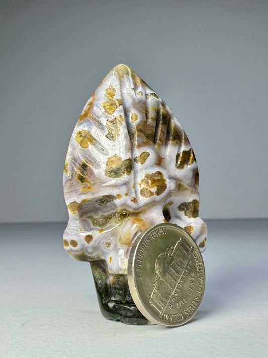 Orbicular Jasper Nature Skull - D