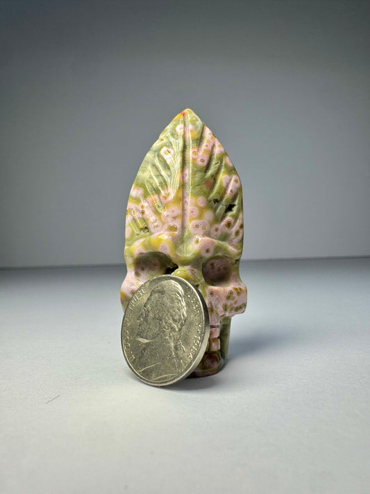 Orbicular Jasper Nature Skull - E
