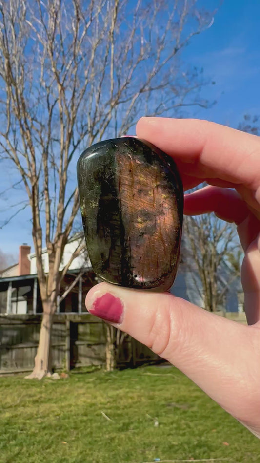 Black Labradorite Sunset Flash Freeform - A