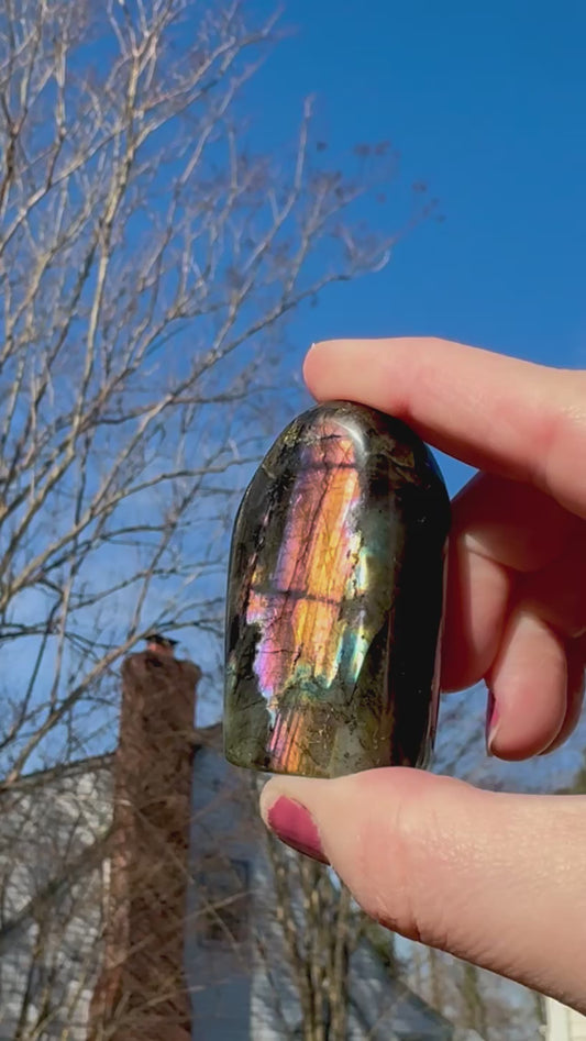 Black Labradorite Sunset Flash Freeform - K
