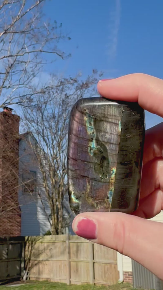 Black Labradorite Silver/Purple Flash Freeform - J
